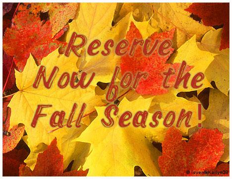 Book Now for the Fall Season!